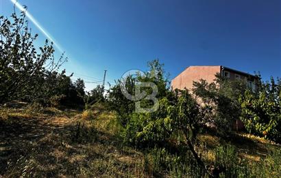 LAPSEKİ ÇARDAK DA HEMEN İNŞAAT YAPILABİLİR YATIRIMLIK 270m2 ARSA