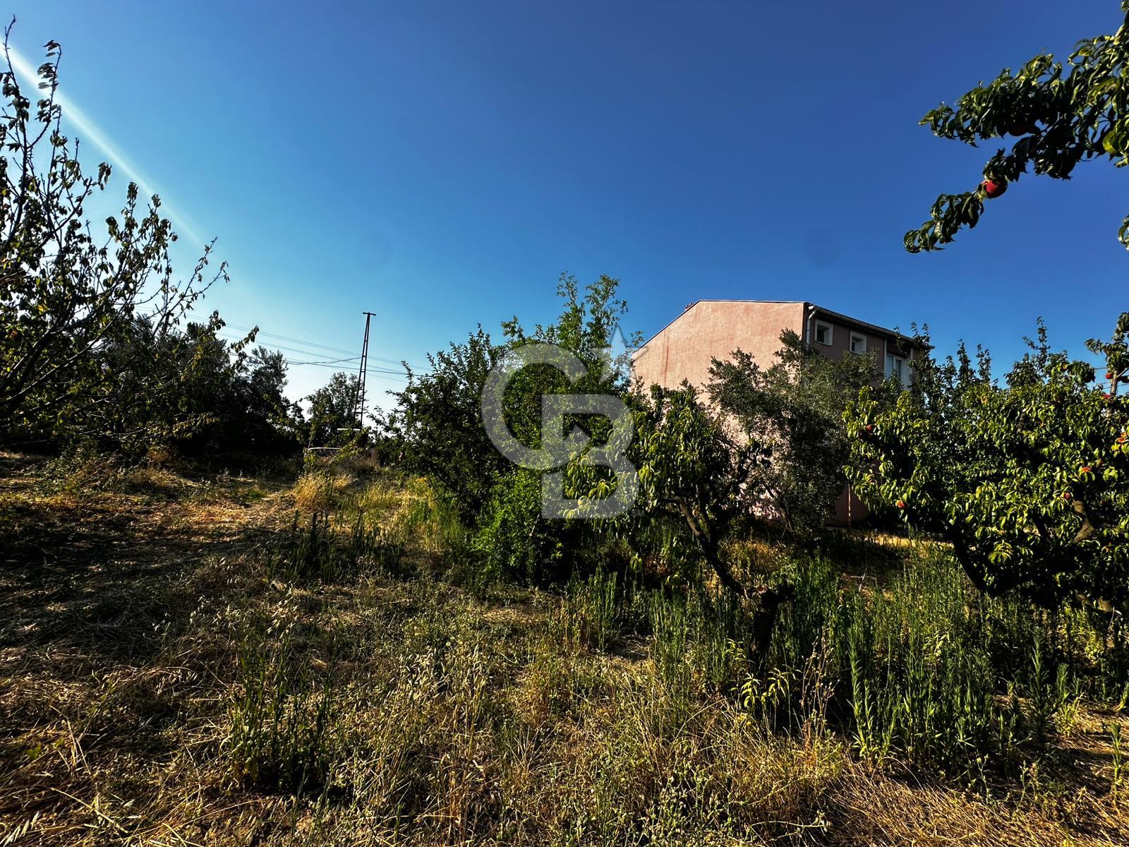 LAPSEKİ ÇARDAK DA HEMEN İNŞAAT YAPILABİLİR YATIRIMLIK 270m2 ARSA