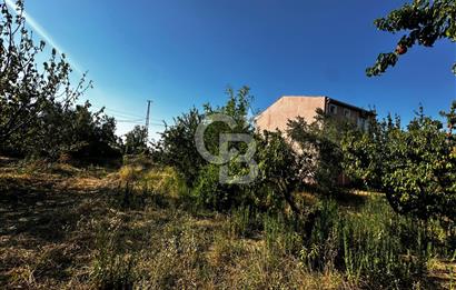 LAPSEKİ ÇARDAK DA HEMEN İNŞAAT YAPILABİLİR YATIRIMLIK 270m2 ARSA