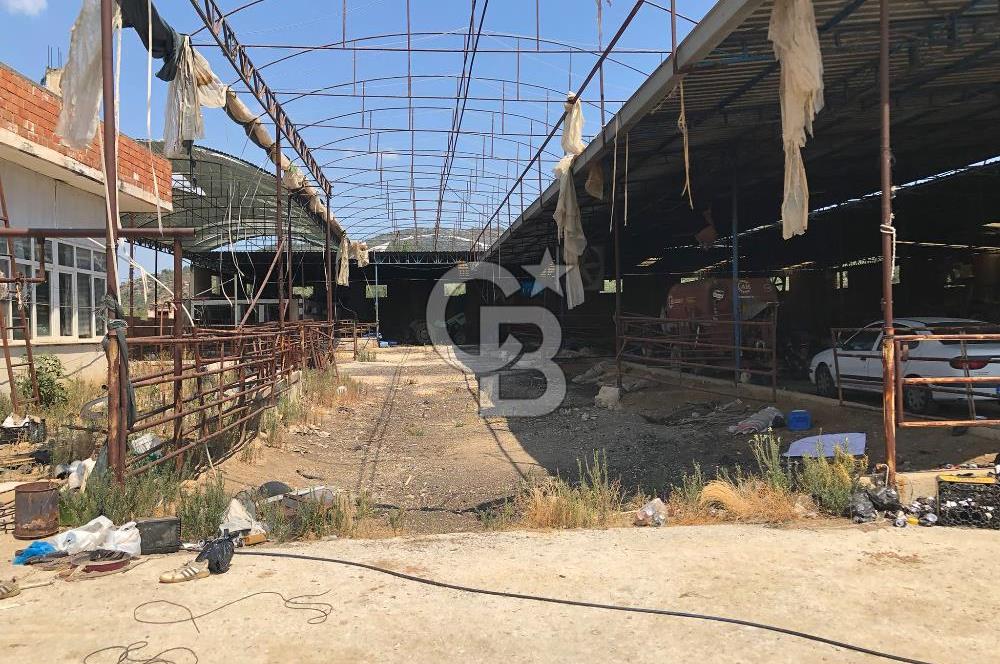 BAYINDIR ARIKBAŞI DA MERA KENARI SATILIK ÇİFTLİK