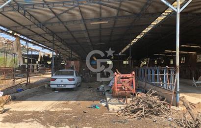 BAYINDIR ARIKBAŞI DA MERA KENARI SATILIK ÇİFTLİK