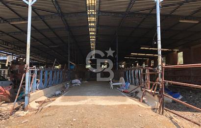 BAYINDIR ARIKBAŞI DA MERA KENARI SATILIK ÇİFTLİK