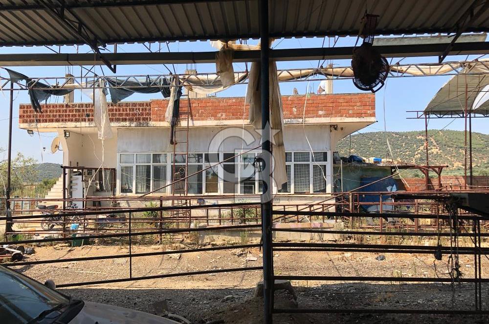 BAYINDIR ARIKBAŞI DA MERA KENARI SATILIK ÇİFTLİK
