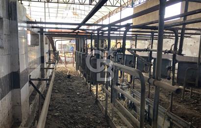 BAYINDIR ARIKBAŞI DA MERA KENARI SATILIK ÇİFTLİK