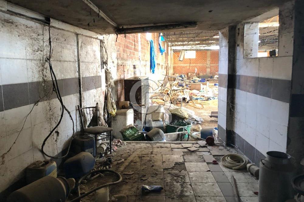 BAYINDIR ARIKBAŞI DA MERA KENARI SATILIK ÇİFTLİK