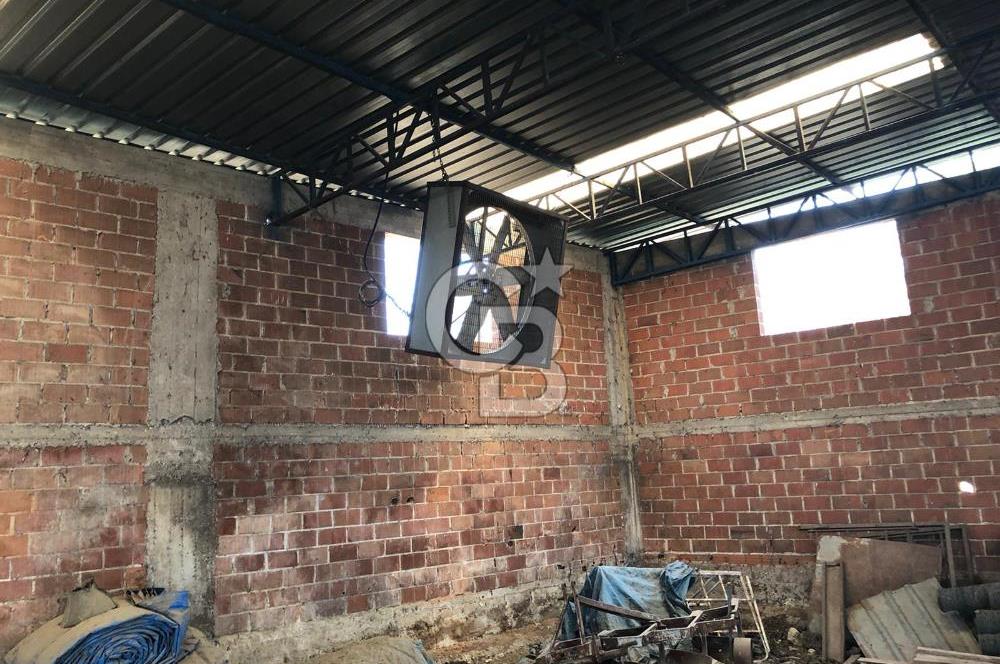 BAYINDIR ARIKBAŞI DA MERA KENARI SATILIK ÇİFTLİK