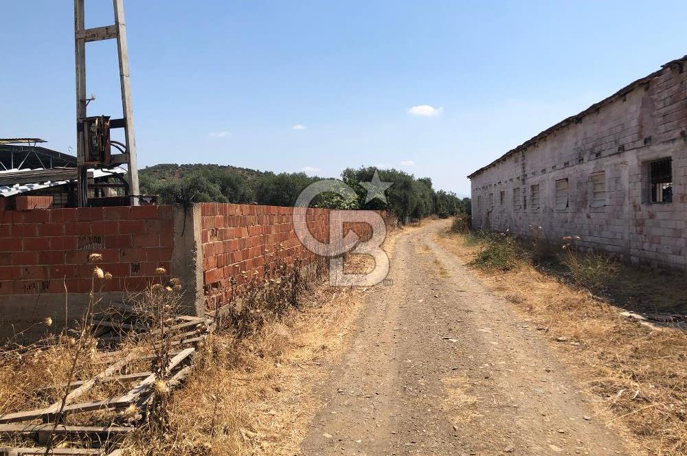 BAYINDIR ARIKBAŞI DA MERA KENARI SATILIK ÇİFTLİK