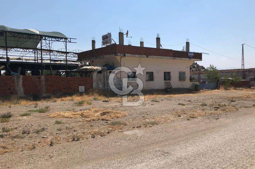 BAYINDIR ARIKBAŞI DA MERA KENARI SATILIK ÇİFTLİK