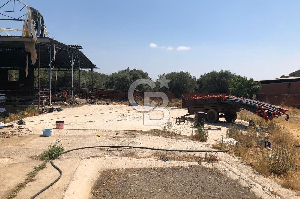 BAYINDIR ARIKBAŞI DA MERA KENARI SATILIK ÇİFTLİK