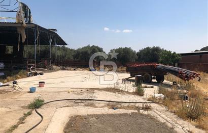 BAYINDIR ARIKBAŞI DA MERA KENARI SATILIK ÇİFTLİK