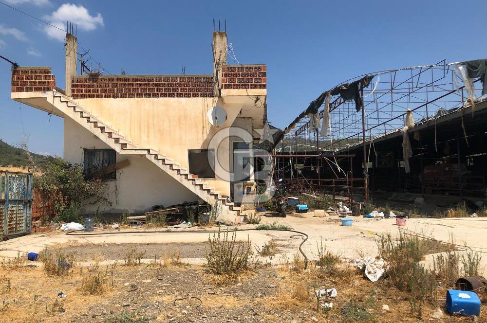 BAYINDIR ARIKBAŞI DA MERA KENARI SATILIK ÇİFTLİK
