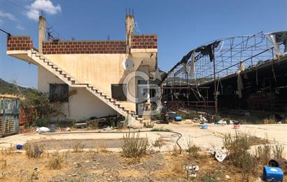 BAYINDIR ARIKBAŞI DA MERA KENARI SATILIK ÇİFTLİK