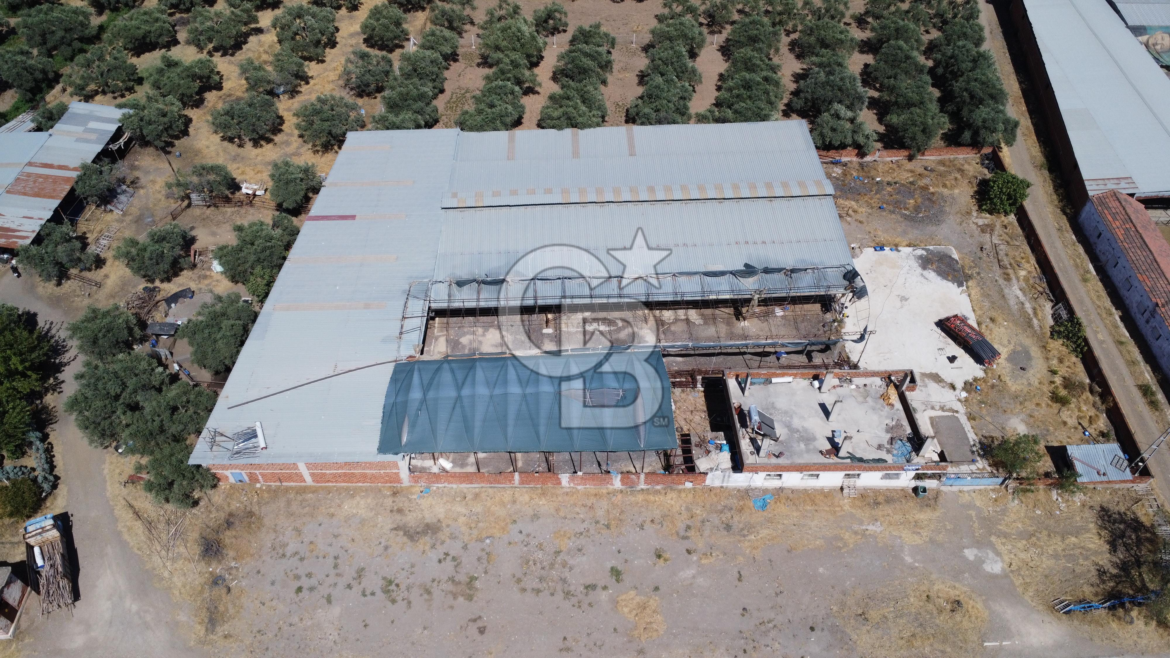 BAYINDIR ARIKBAŞI DA MERA KENARI SATILIK MÜSTAKİL EV VE ÇİFTLİK