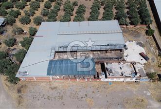 BAYINDIR ARIKBAŞI DA MERA KENARI SATILIK ÇİFTLİK