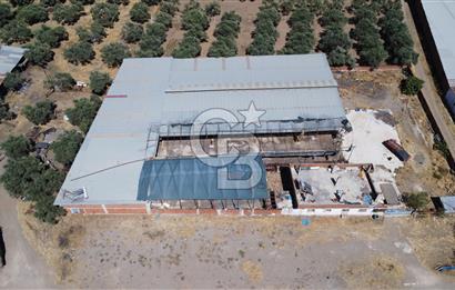 BAYINDIR ARIKBAŞI DA MERA KENARI SATILIK ÇİFTLİK