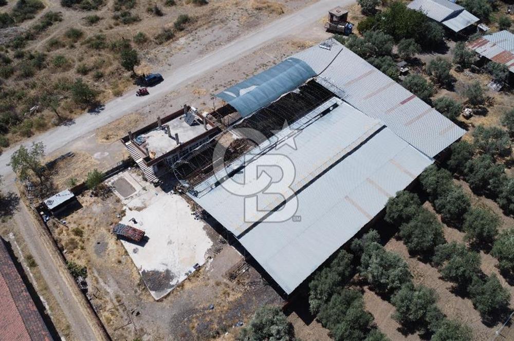 BAYINDIR ARIKBAŞI DA MERA KENARI SATILIK ÇİFTLİK