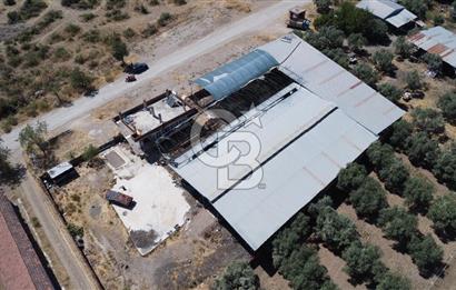 BAYINDIR ARIKBAŞI DA MERA KENARI SATILIK ÇİFTLİK