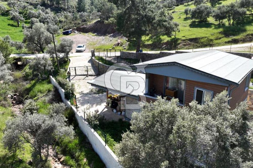 MUĞLA MİLAS BEYCİLER KÖYÜ 3+1 BAHÇELİ SATILIK VİLLA
