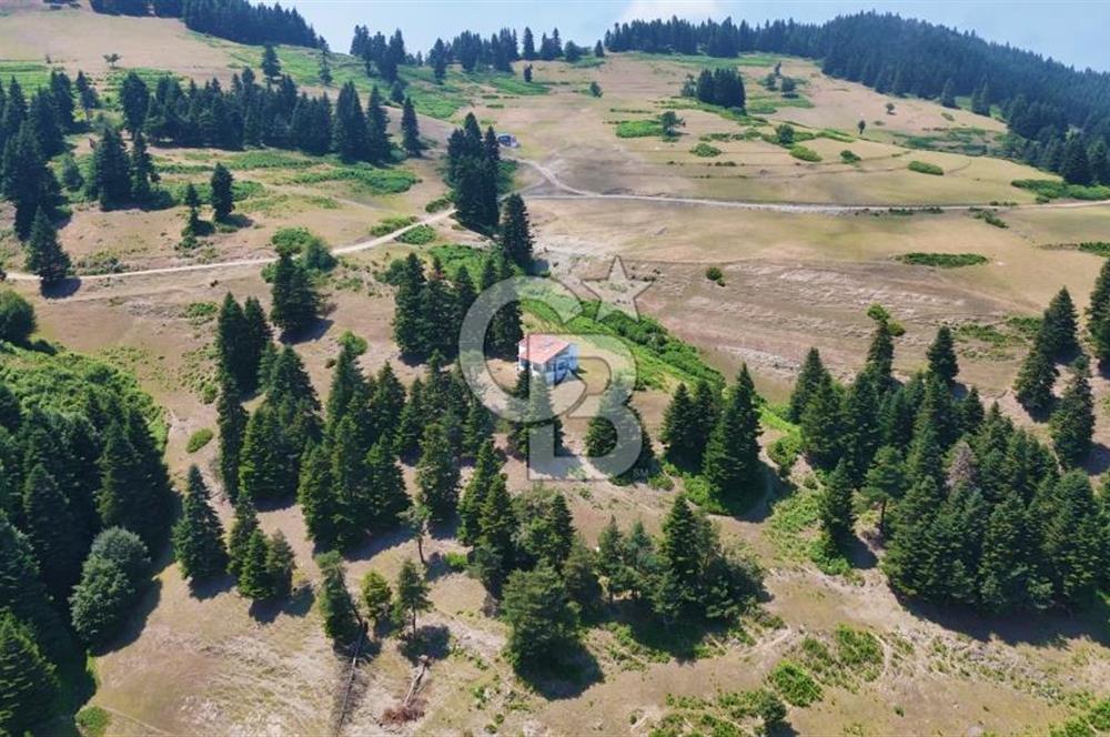 SAMSUN YAKAKENT UZUNKIZ YAYLASINDA FIRSAT SATILIK TARLA