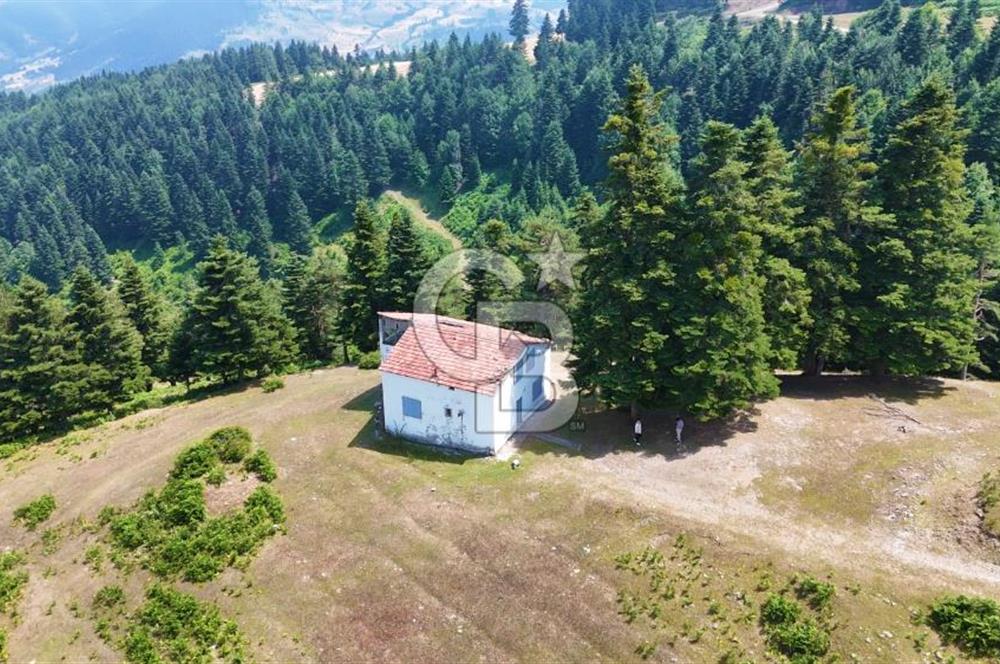 SAMSUN YAKAKENT UZUNKIZ YAYLASINDA FIRSAT SATILIK TARLA