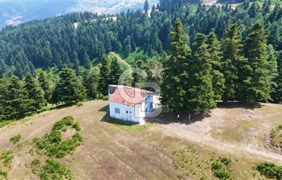 SAMSUN YAKAKENT UZUNKIZ YAYLASINDA FIRSAT SATILIK TARLA