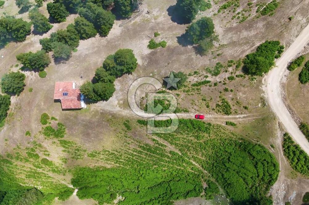 SAMSUN YAKAKENT UZUNKIZ YAYLASINDA FIRSAT SATILIK TARLA