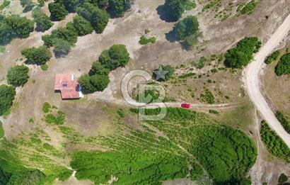 SAMSUN YAKAKENT UZUNKIZ YAYLASINDA FIRSAT SATILIK TARLA