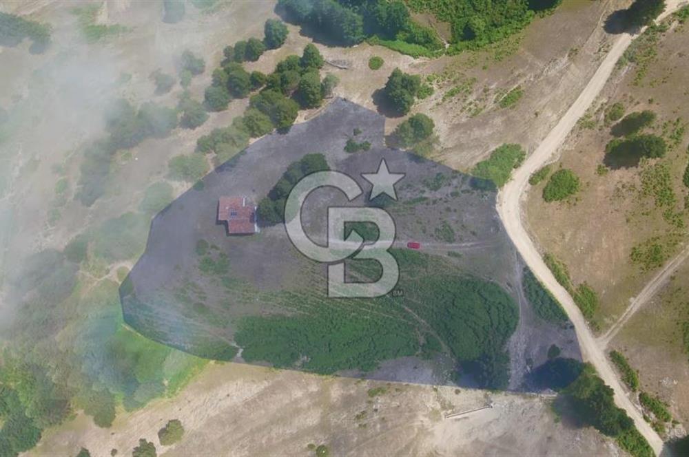 SAMSUN YAKAKENT UZUNKIZ YAYLASINDA FIRSAT SATILIK TARLA