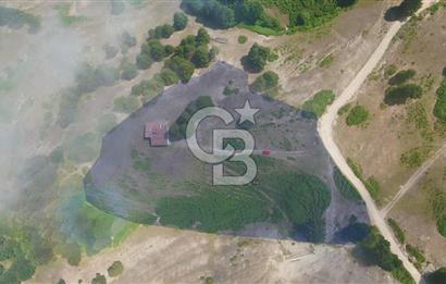 SAMSUN YAKAKENT UZUNKIZ YAYLASINDA FIRSAT SATILIK TARLA