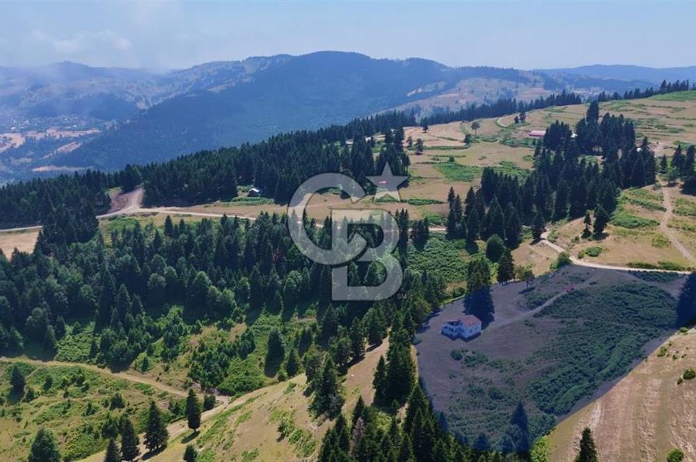 SAMSUN YAKAKENT UZUNKIZ YAYLASINDA FIRSAT SATILIK TARLA
