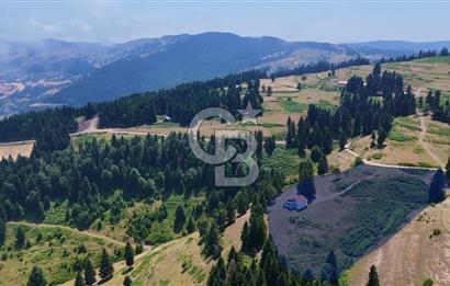 SAMSUN YAKAKENT UZUNKIZ YAYLASINDA FIRSAT SATILIK TARLA