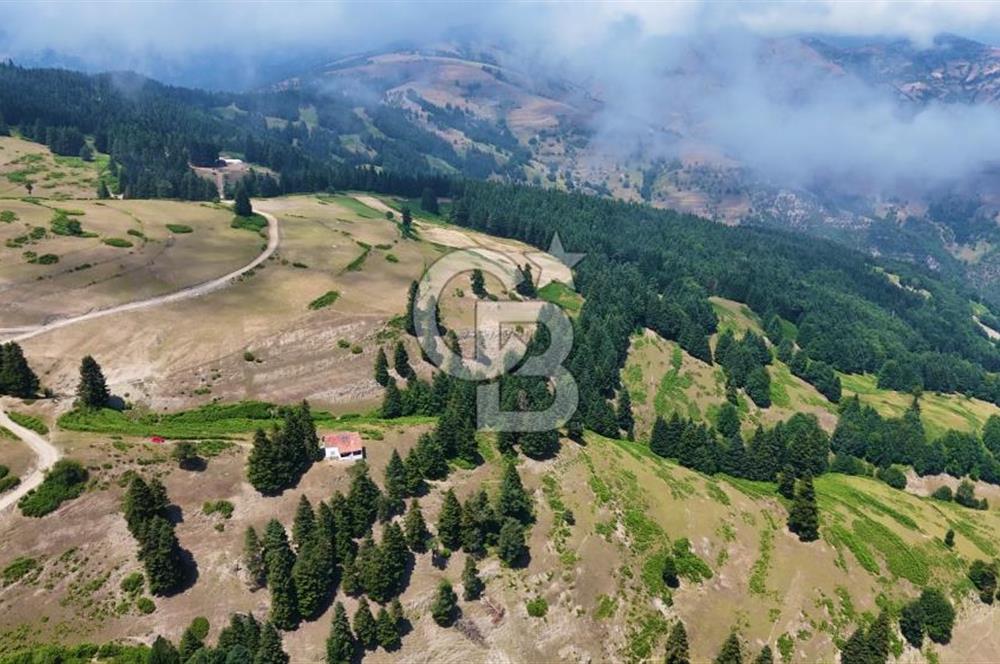 SAMSUN YAKAKENT UZUNKIZ YAYLASINDA FIRSAT SATILIK TARLA