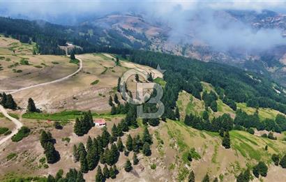 SAMSUN YAKAKENT UZUNKIZ YAYLASINDA FIRSAT SATILIK TARLA