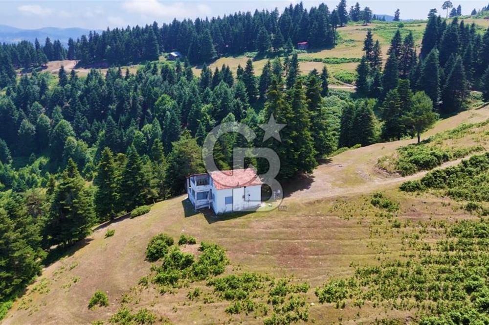 SAMSUN YAKAKENT UZUNKIZ YAYLASINDA FIRSAT SATILIK TARLA