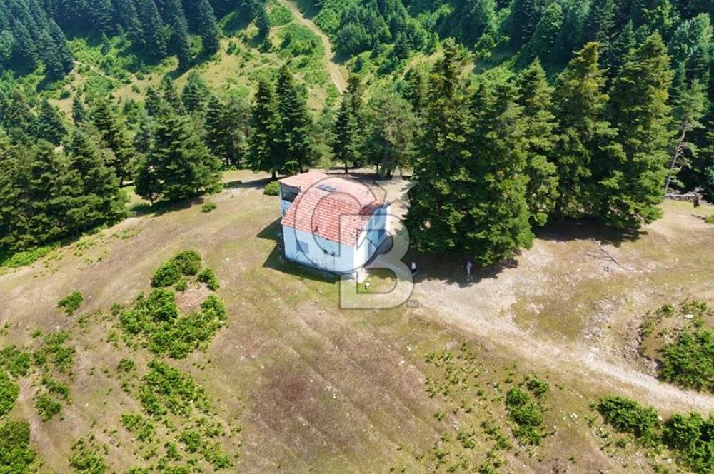 SAMSUN YAKAKENT UZUNKIZ YAYLASINDA FIRSAT SATILIK TARLA