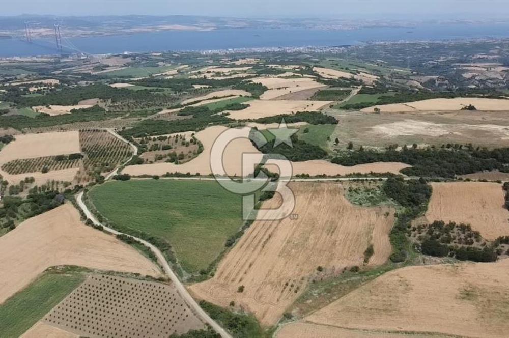 ÇANAKKALE LAPSEKİ SUBAŞI KÖYÜ FULL KÖPRÜ VE BOĞAZ MANZARALI 24 DÖNÜM YATIRIMLIK ARAZİ
