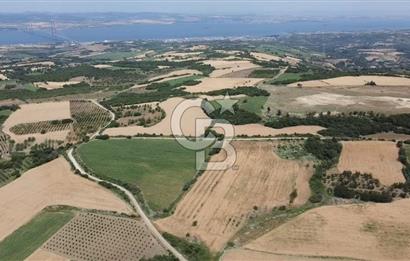 ÇANAKKALE LAPSEKİ SUBAŞI KÖYÜ FULL KÖPRÜ VE BOĞAZ MANZARALI 24 DÖNÜM YATIRIMLIK ARAZİ