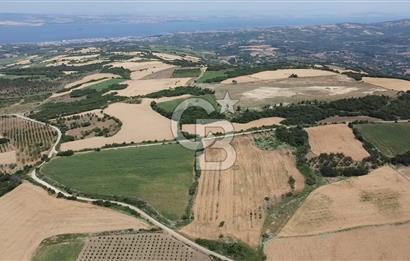 ÇANAKKALE LAPSEKİ SUBAŞI KÖYÜ FULL KÖPRÜ VE BOĞAZ MANZARALI 24 DÖNÜM YATIRIMLIK ARAZİ
