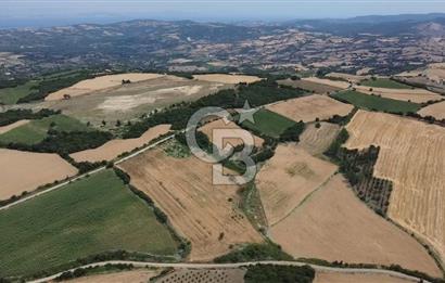 ÇANAKKALE LAPSEKİ SUBAŞI KÖYÜ FULL KÖPRÜ VE BOĞAZ MANZARALI 24 DÖNÜM YATIRIMLIK ARAZİ