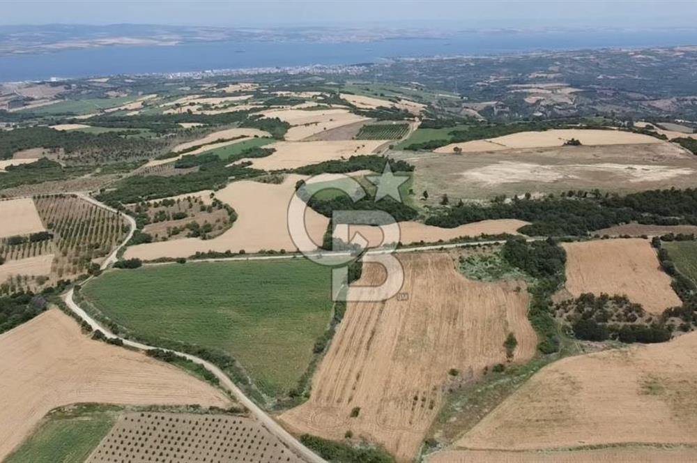 ÇANAKKALE LAPSEKİ SUBAŞI KÖYÜ FULL KÖPRÜ VE BOĞAZ MANZARALI 24 DÖNÜM YATIRIMLIK ARAZİ