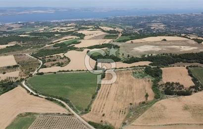 ÇANAKKALE LAPSEKİ SUBAŞI KÖYÜ FULL KÖPRÜ VE BOĞAZ MANZARALI 24 DÖNÜM YATIRIMLIK ARAZİ
