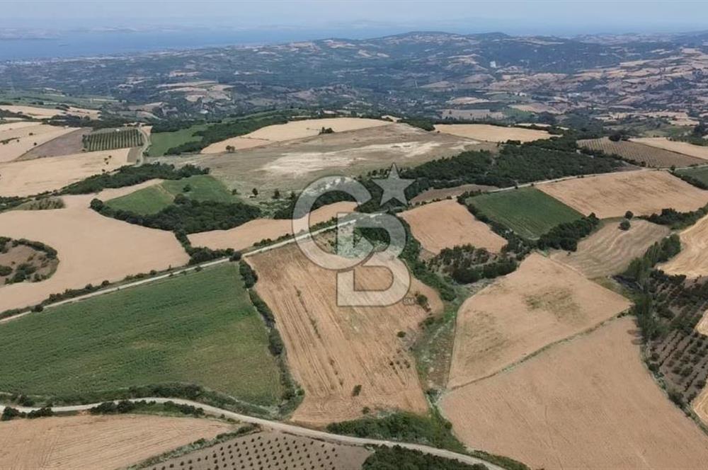 ÇANAKKALE LAPSEKİ SUBAŞI KÖYÜ FULL KÖPRÜ VE BOĞAZ MANZARALI 24 DÖNÜM YATIRIMLIK ARAZİ