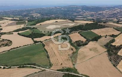 ÇANAKKALE LAPSEKİ SUBAŞI KÖYÜ FULL KÖPRÜ VE BOĞAZ MANZARALI 24 DÖNÜM YATIRIMLIK ARAZİ
