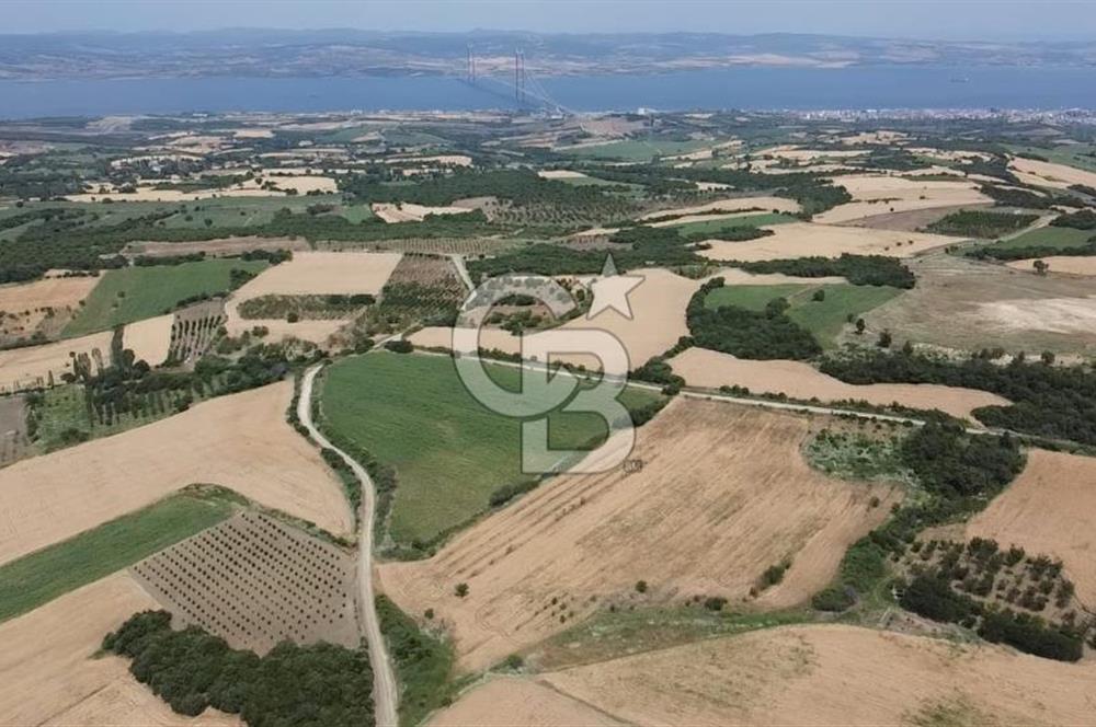 ÇANAKKALE LAPSEKİ SUBAŞI KÖYÜ FULL KÖPRÜ VE BOĞAZ MANZARALI 24 DÖNÜM YATIRIMLIK ARAZİ