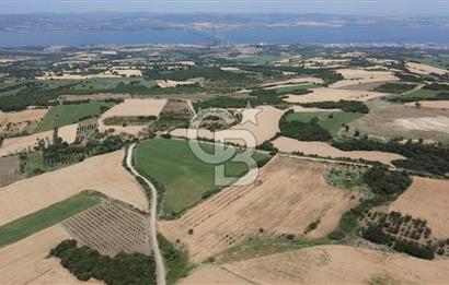 ÇANAKKALE LAPSEKİ SUBAŞI KÖYÜ FULL KÖPRÜ VE BOĞAZ MANZARALI 24 DÖNÜM YATIRIMLIK ARAZİ