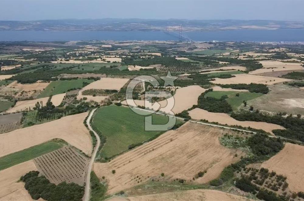 ÇANAKKALE LAPSEKİ SUBAŞI KÖYÜ FULL KÖPRÜ VE BOĞAZ MANZARALI 24 DÖNÜM YATIRIMLIK ARAZİ