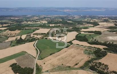 ÇANAKKALE LAPSEKİ SUBAŞI KÖYÜ FULL KÖPRÜ VE BOĞAZ MANZARALI 24 DÖNÜM YATIRIMLIK ARAZİ
