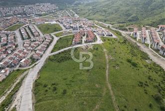 CB KiNG'DEN KUVAYİ MİLLİYE MAHALLESİNDE SATILIK ARSALAR