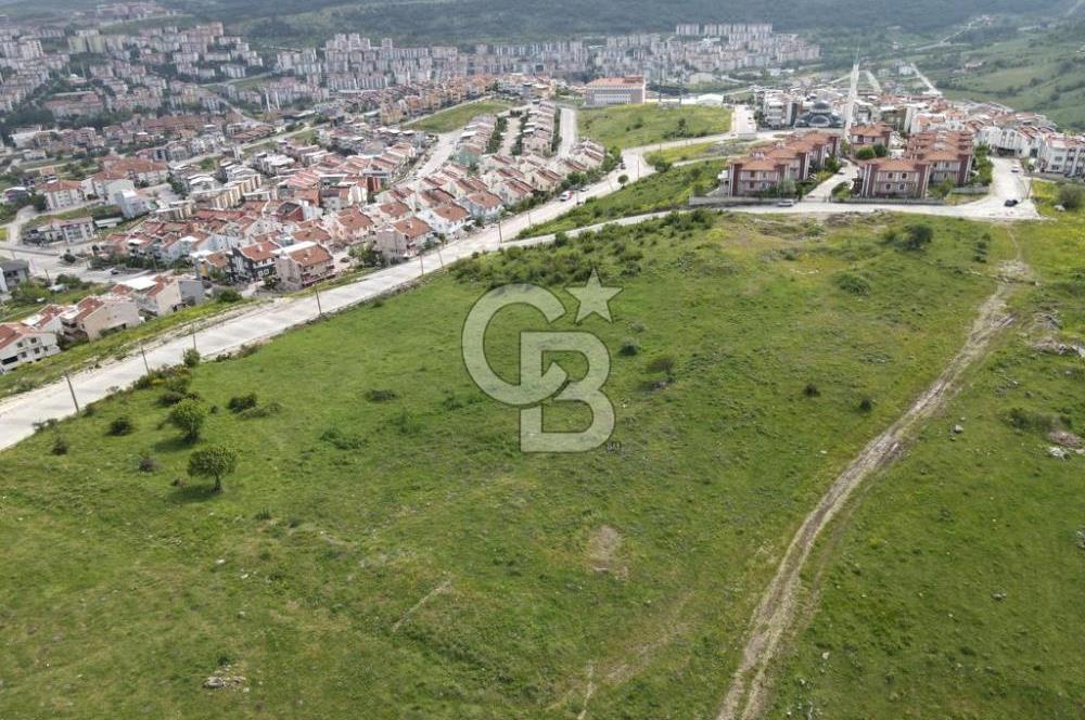 CB KiNG'DEN KUVAYİ MİLLİYE MAHALLESİNDE SATILIK ARSALAR