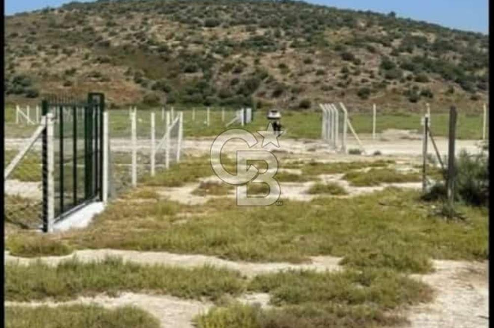 FOÇA YENİBAĞARASINDA KENDİ TAPUSU OLAN TARLA